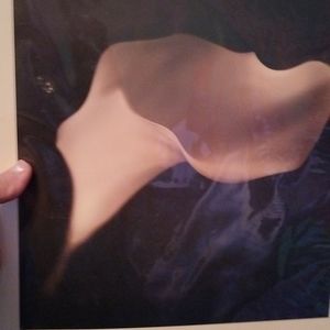 Melissa Springer floral photo print New in Package